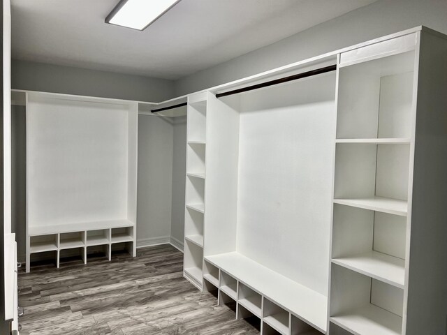 spacious closet with hardwood / wood-style floors