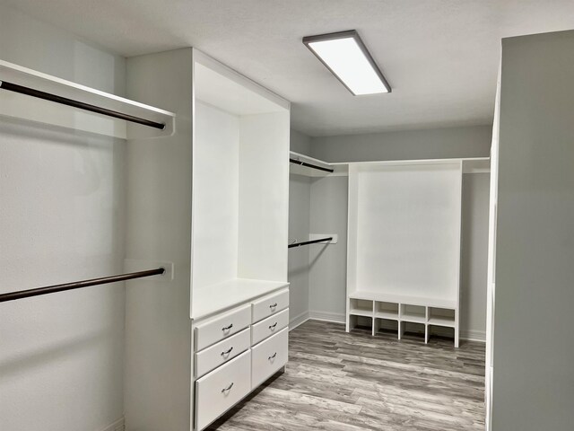 walk in closet with light hardwood / wood-style floors