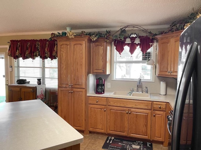 kitchen with a textured ceiling, a healthy amount of sunlight, and sink