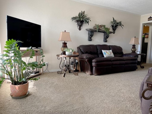 carpeted living room featuring a textured ceiling and crown molding