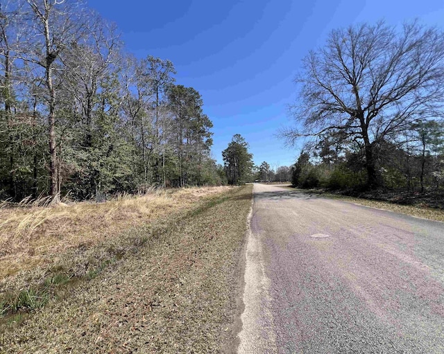 Listing photo 3 for TBD Laird Rd, Kountze TX 77625