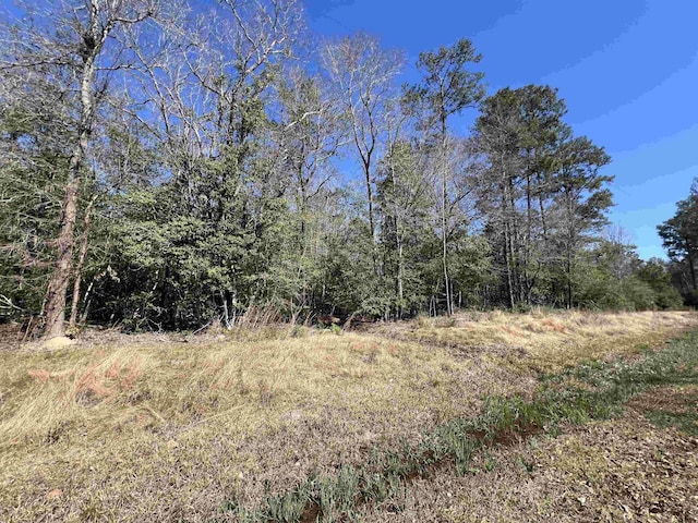 TBD Laird Rd, Kountze TX, 77625 land for sale