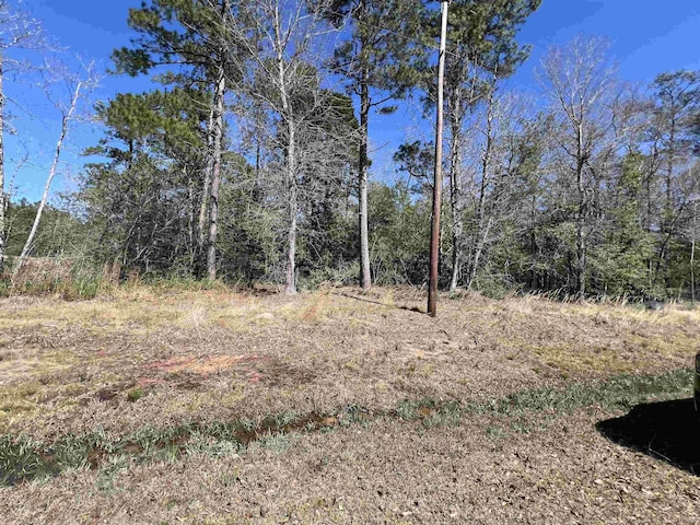 Listing photo 2 for TBD Laird Rd, Kountze TX 77625