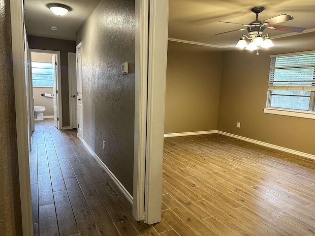 7165 Lewis Dr, Beaumont, TX 77708 - corridor featuring healthy amount of natural light, dark wood-style floors, baseboards, and crown molding