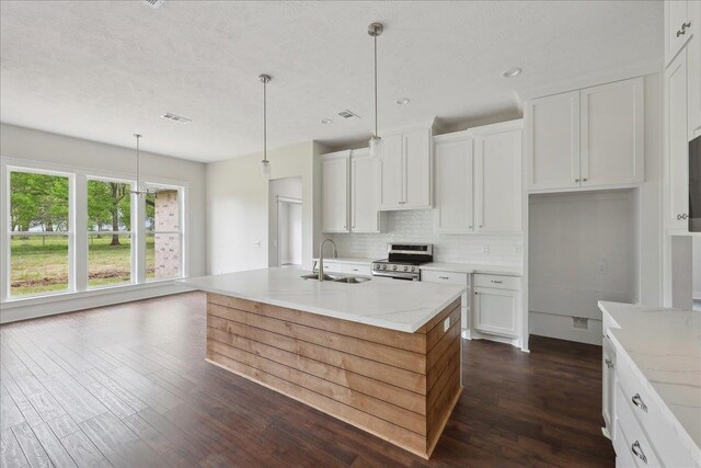 kitchen featuring tasteful backsplash, dark wood finished floors, a sink, stainless steel range with electric cooktop, and visible vents