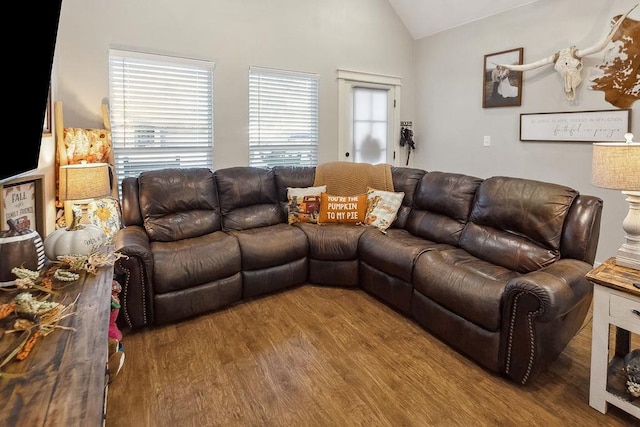 living room with vaulted ceiling and hardwood / wood-style flooring