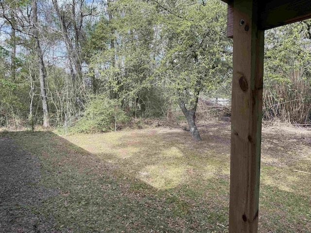 390 W Park St, Vidor, TX 77662 - view of yard