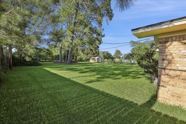7760 Laurie Ln, Lumberton, TX 77657 - view of grassy yard with a storage unit and an outdoor structure