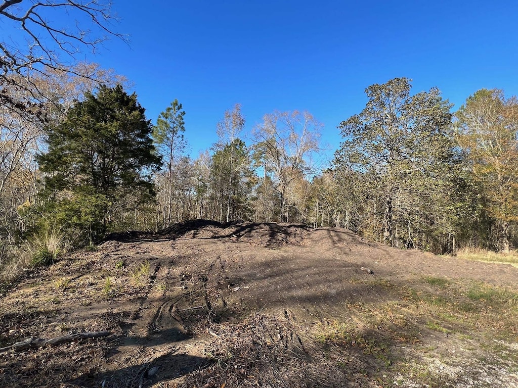 10130 Peach St, Lumberton, TX 77657 - photo 1