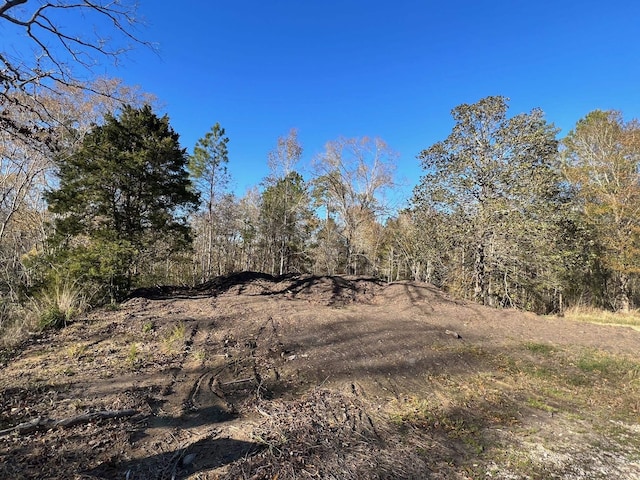 10130 Peach St, Lumberton, TX 77657 - photo 1