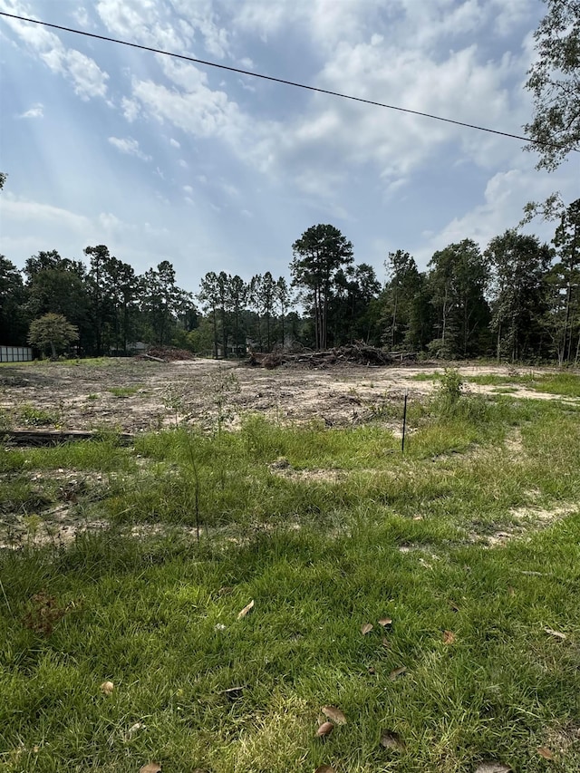 000 Reeves, Silsbee TX, 77656 land for sale