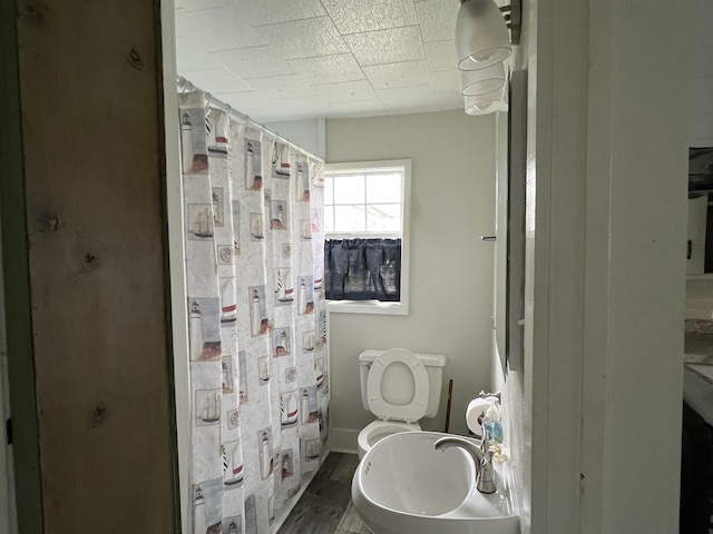 bathroom featuring hardwood / wood-style flooring, toilet, and sink