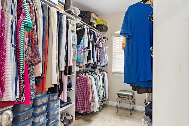 walk in closet featuring carpet