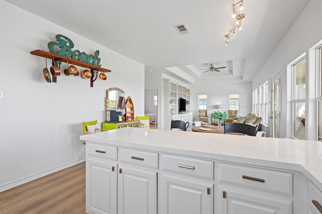 981 S S Gtwy, Crystal Beach, TX 77650 - kitchen with a tray ceiling, ceiling fan, open floor plan, light wood finished floors, and light countertops