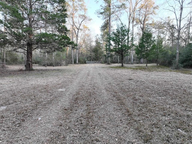 view of road