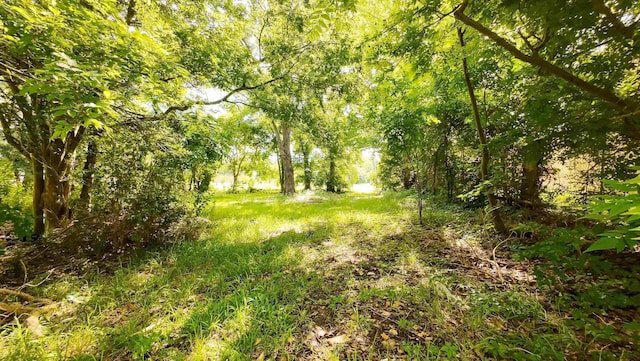0000 Broadway St, Beaumont, TX 77701 - photo 2