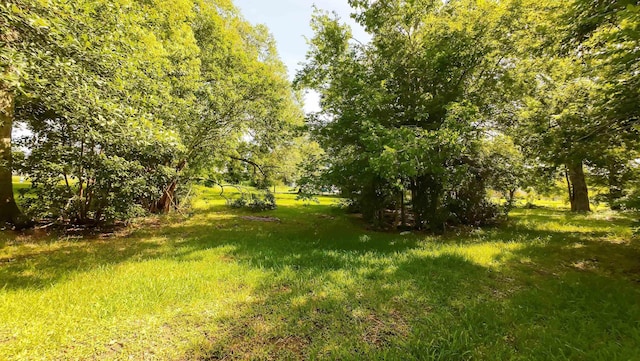 0000 Broadway St, Beaumont, TX 77701 - photo 3