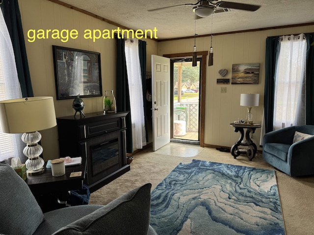 carpeted living room with ceiling fan, ornamental molding, and a textured ceiling