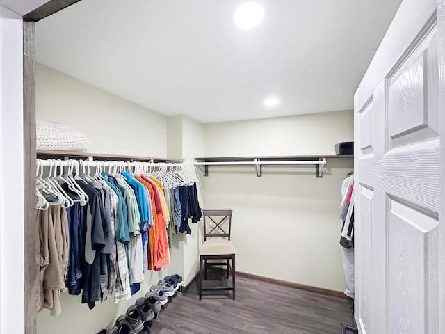 walk in closet with wood-type flooring