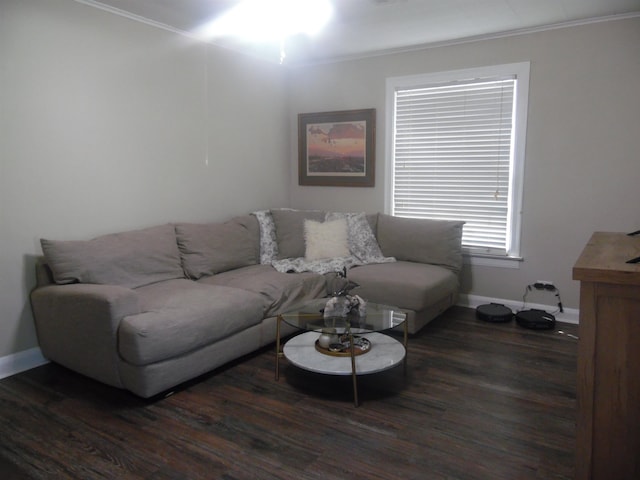 living area featuring ornamental molding, wood finished floors, and baseboards