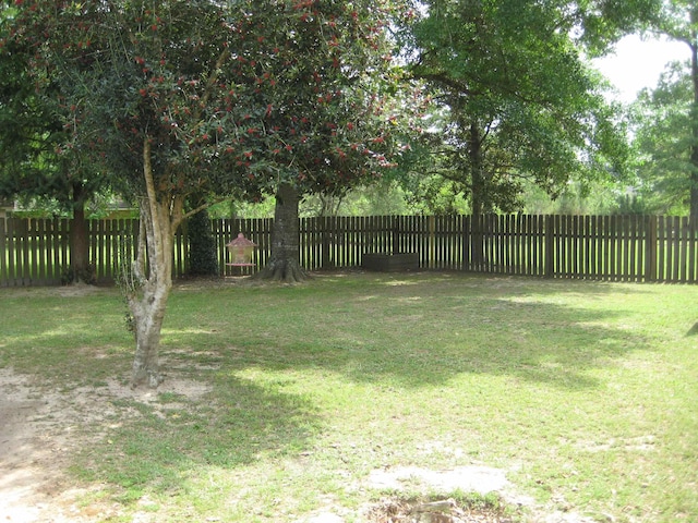 101 Locust Ln, Village Mills, TX 77663 - view of fenced backyard