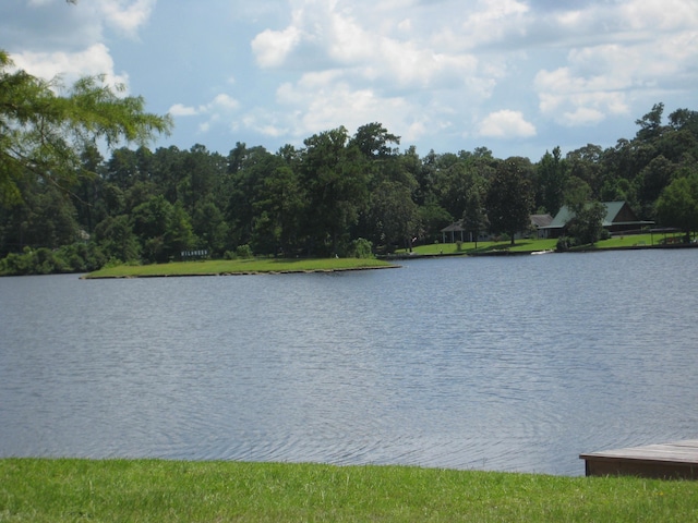 101 Locust Ln, Village Mills, TX 77663 - water view
