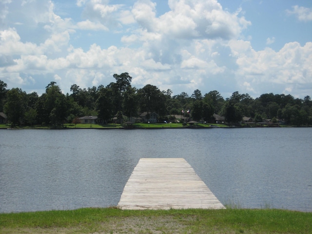 101 Locust Ln, Village Mills, TX 77663 - dock featuring a water view