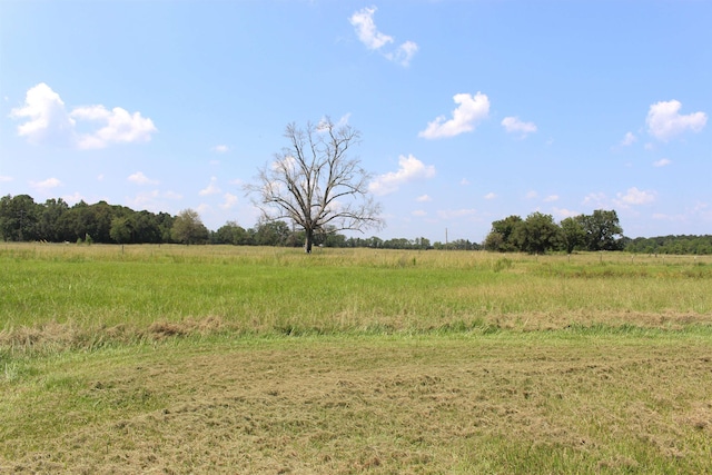 view of local wilderness featuring a rural view