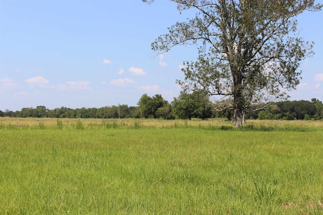 view of local wilderness featuring a rural view