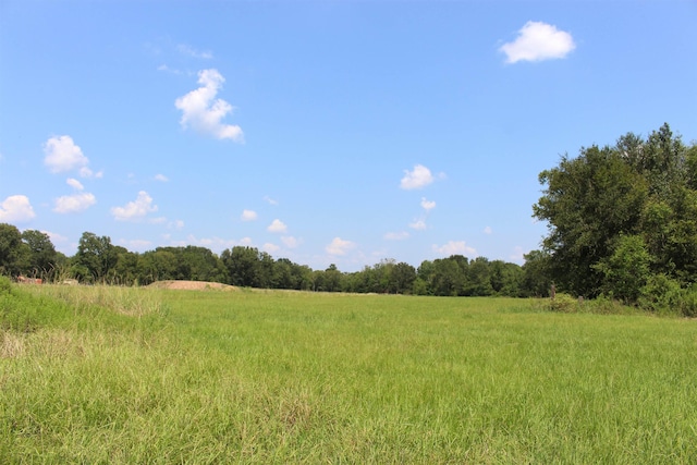 view of landscape featuring a view of trees and a rural view