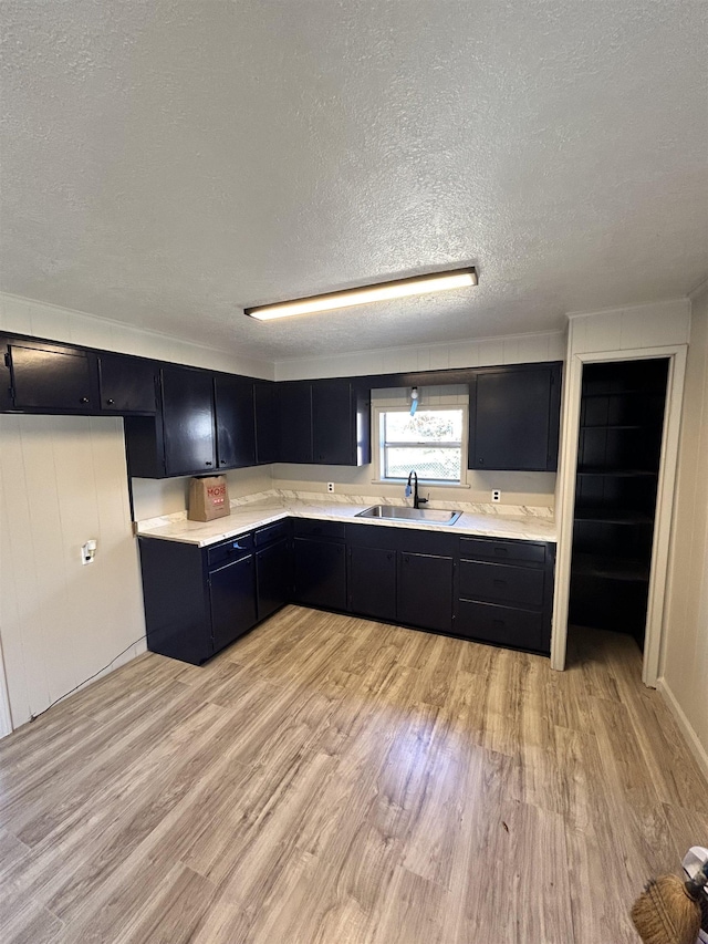 kitchen featuring sink, light hardwood / wood-style floors, and a textured ceiling