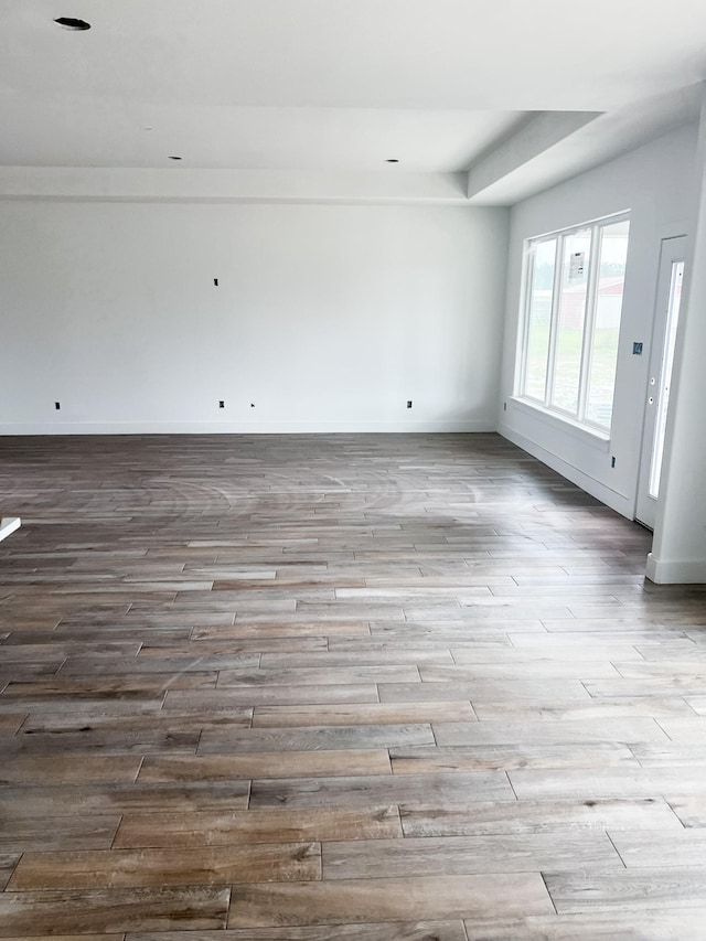 empty room featuring a tray ceiling and light hardwood / wood-style flooring