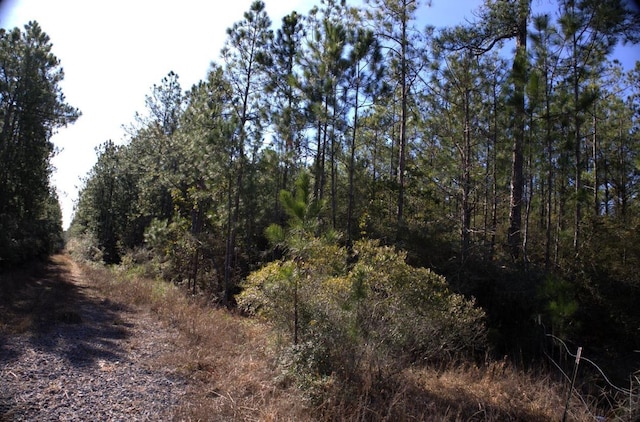 Listing photo 3 for R20622LOT2 Fm 770, Kountze TX 77625