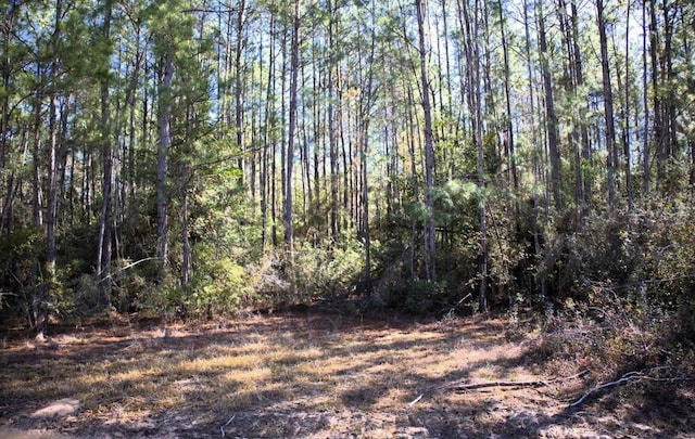 Listing photo 2 for R20622LOT2 Fm 770, Kountze TX 77625