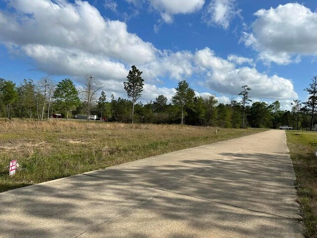 LOT33 Raybo Dr, Kirbyville, TX 75956 - photo 3