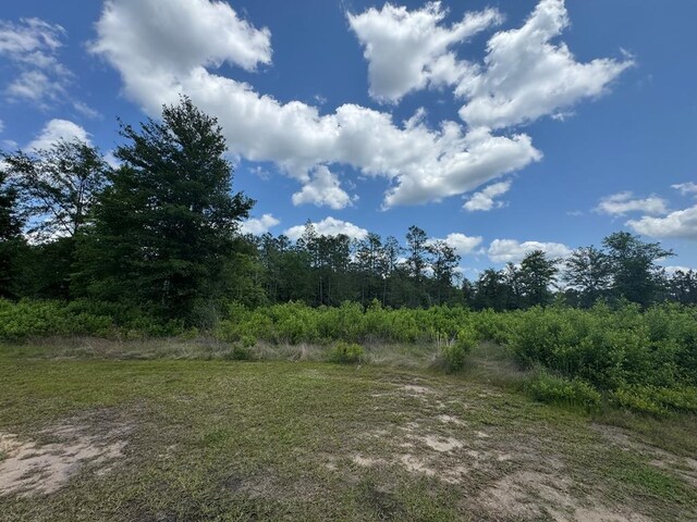 LOT33 Raybo Dr, Kirbyville, TX 75956 - photo 4