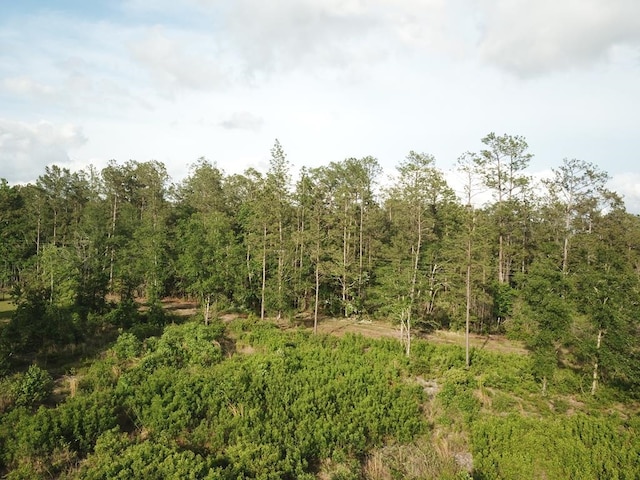 LOT33 Raybo Dr, Kirbyville, TX 75956 - photo 11
