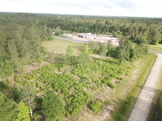 LOT33 Raybo Dr, Kirbyville, TX 75956 - photo 1