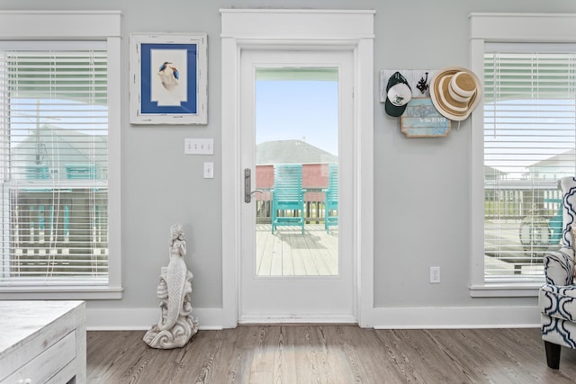 entryway featuring plenty of natural light and wood-type flooring