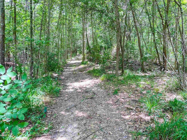 000 Moreland, Vidor, TX 77662