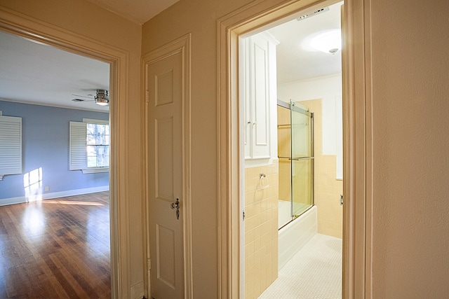 hallway with hardwood / wood-style floors