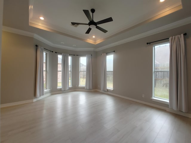 empty room featuring a tray ceiling, light wood-type flooring, and a wealth of natural light