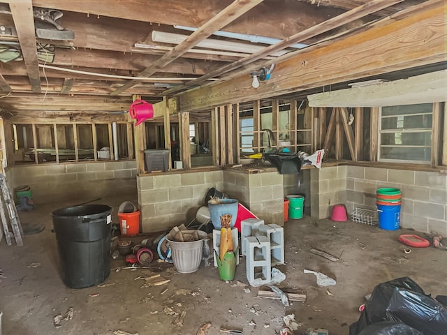 1537 Hillebrandt Acres, Beaumont, TX 77705 - basement with concrete block wall