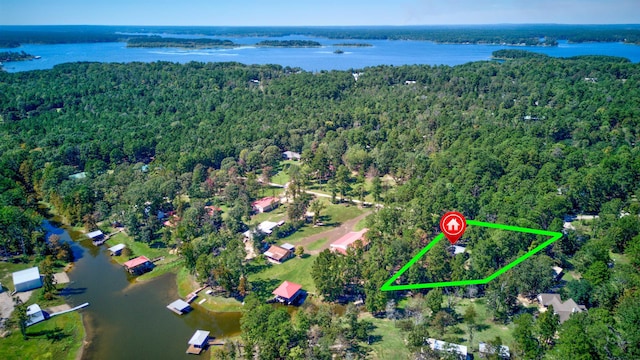 birds eye view of property featuring a water view and a forest view