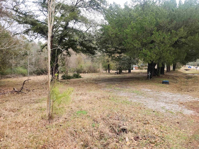 711 Knupple Rd, Silsbee TX, 77656 land for sale