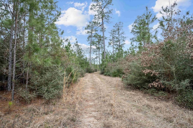 9422 Fm 62, Corrigan, TX 75939
