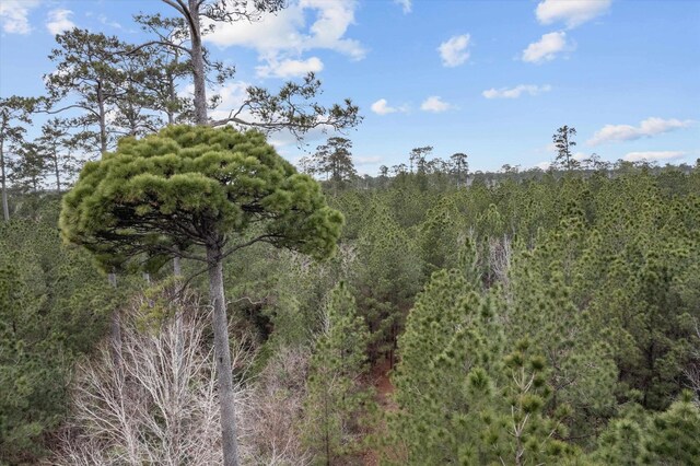 9422 Fm 62, Corrigan, TX 75939