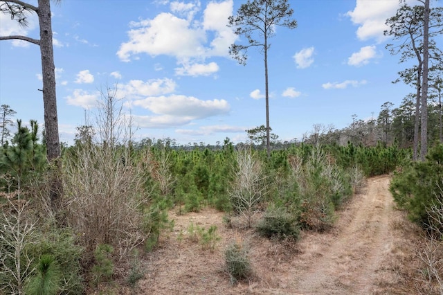9422 Fm 62, Corrigan, TX 75939