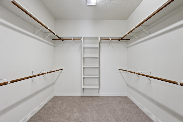 spacious closet with carpet