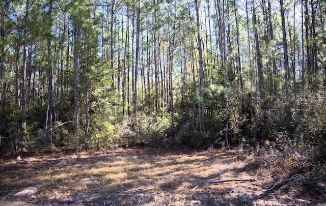 R20622LOT11 Fm 770, Kountze, TX 77625 - photo 1